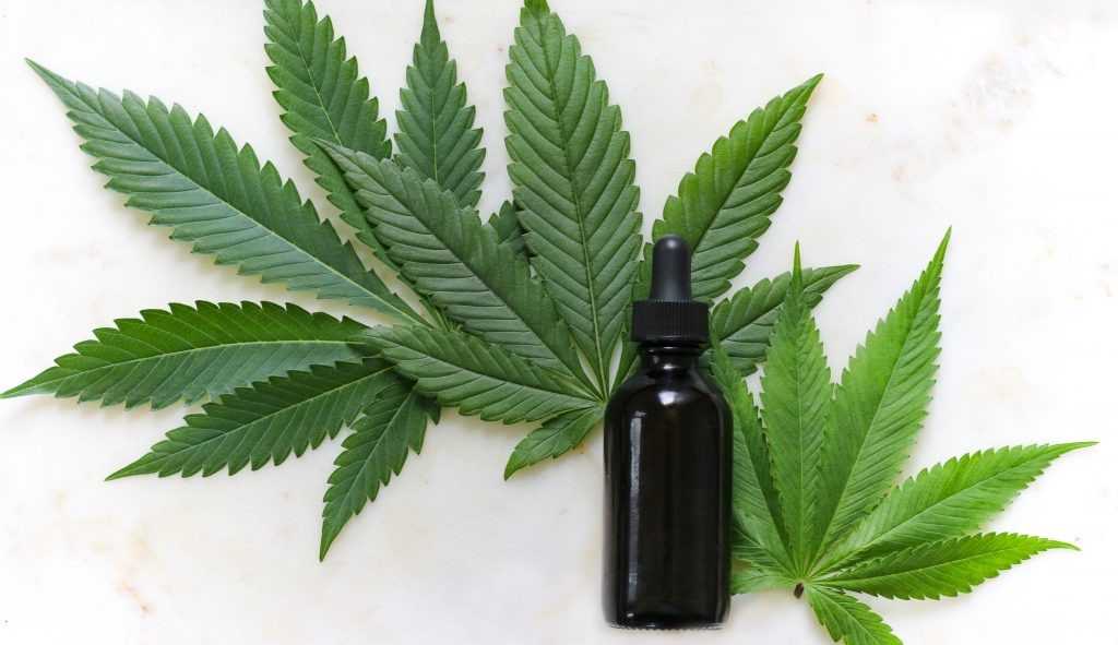 Marcas aderem o uso da Cannabis, agora em linhas de skincare