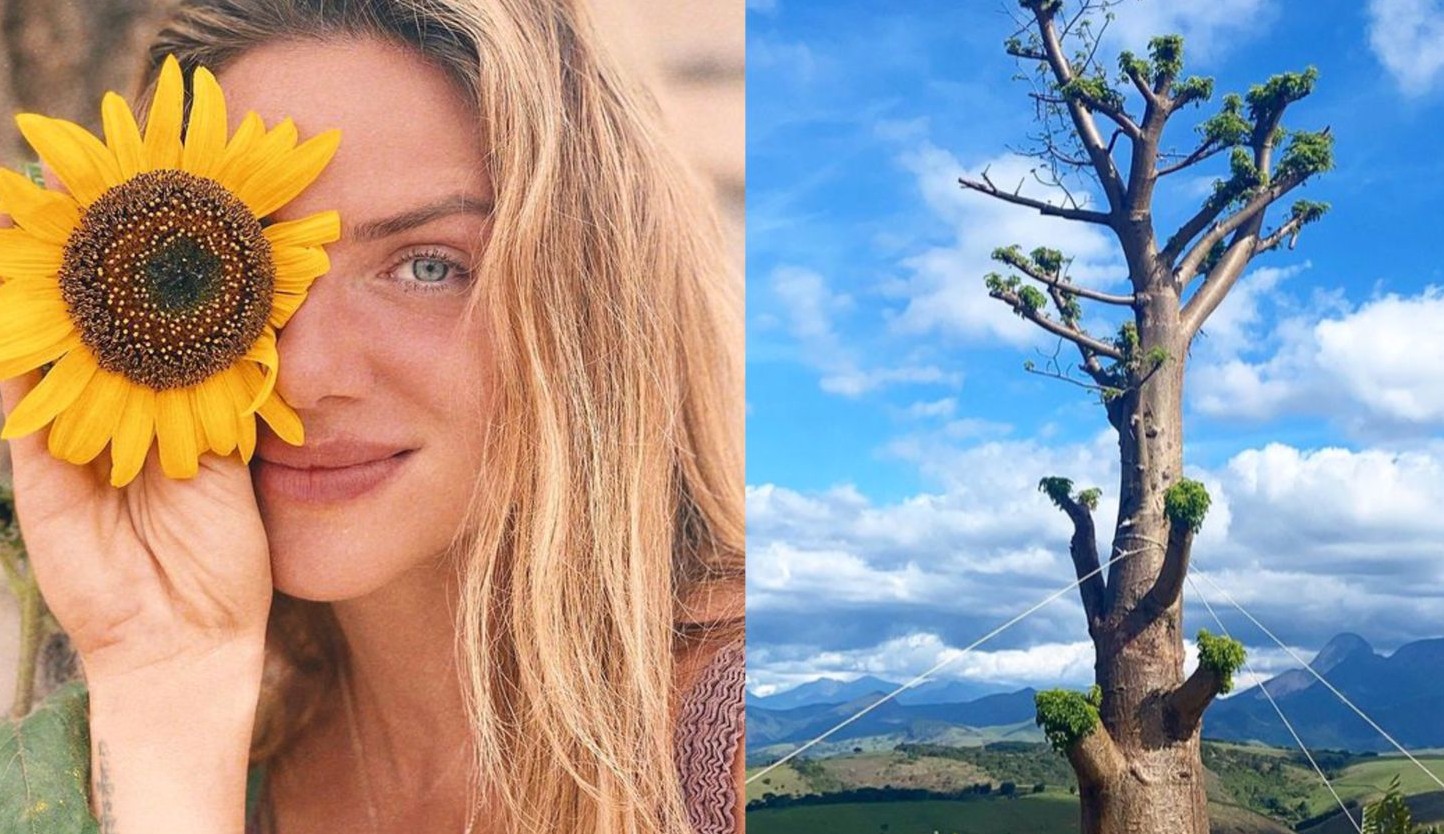 Giovanna Ewbank exibe árvore importada no quintal de seu rancho