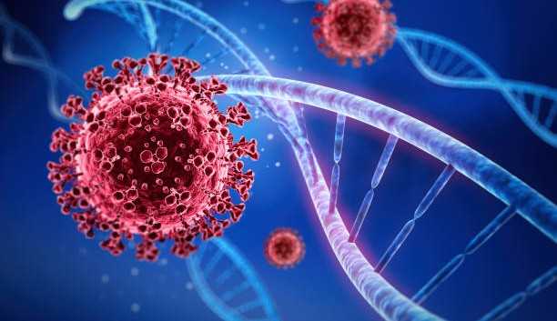 Brasil possui 2 casos da variante Ômicron