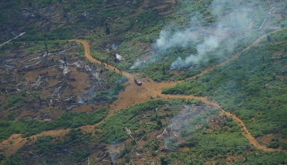 Em 3 anos de gestão Bolsonaro, desmatamento cresceu 79%, diz levantamento