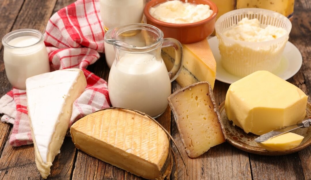 Laticínios e seus impactos na saúde