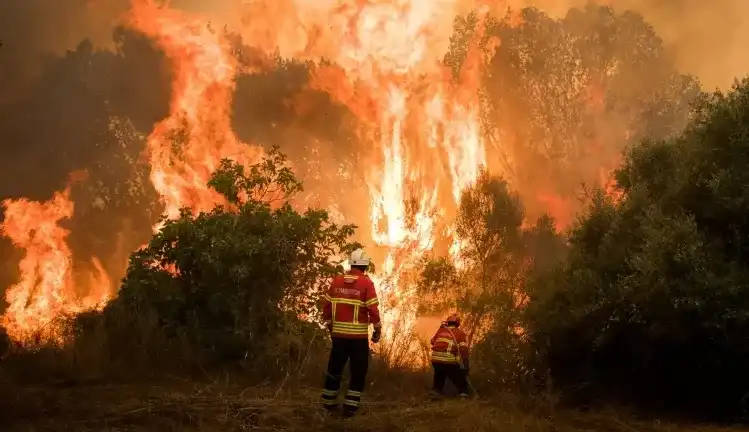 Efeitos do aquecimento global geram recorde em temperatura no ano de 2021