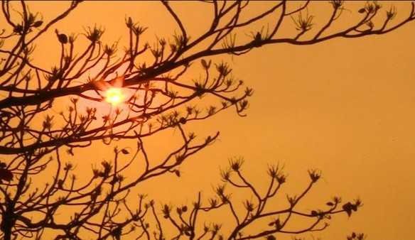 Santa Catarina pode atingir 40°C nesta quarta-feira