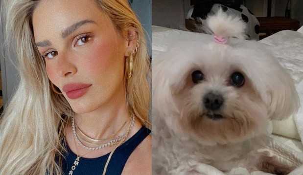 Pet de Yasmin Brunet morre e modelo lamenta