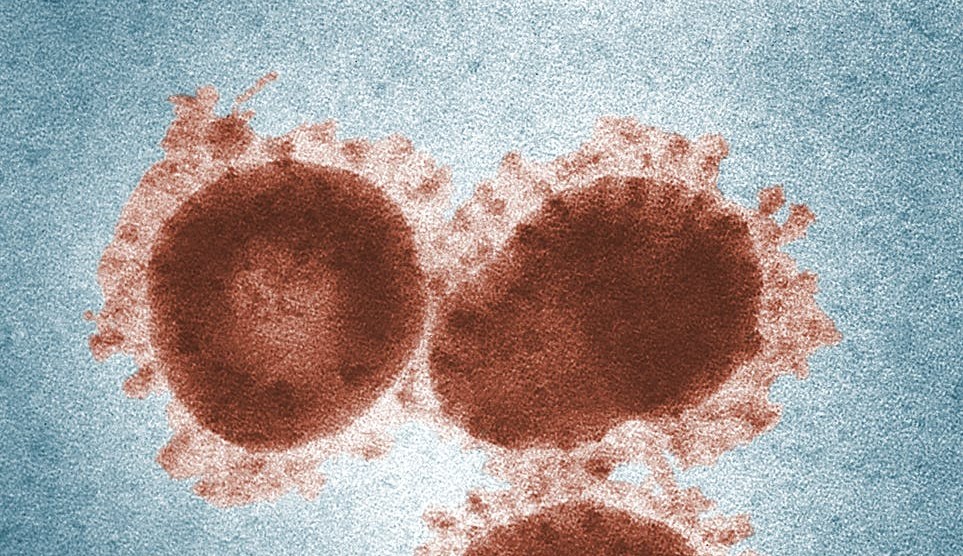 BA.2 subvariante do Ômicron infecta mais vacinados do que a cepa original