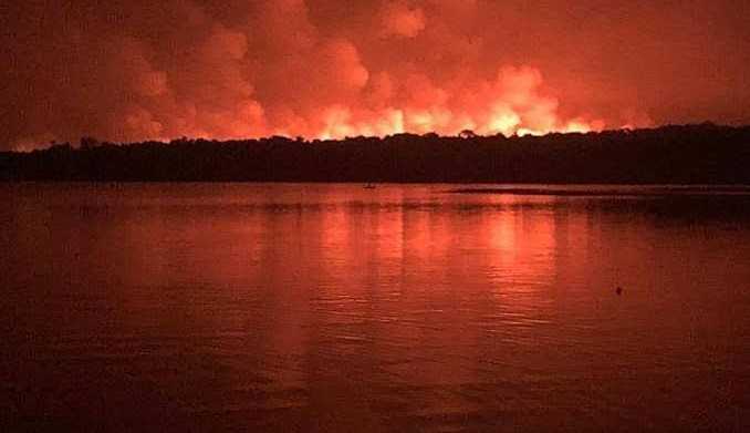 Relatório sem Fronteiras diz que incêndios, poluição sonora e desordens no ciclo da vida ameaçam o meio ambiente.