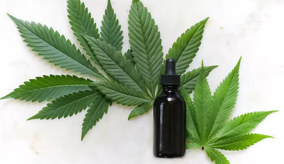 Anvisa autoriza novos produtos derivados de Cannabis