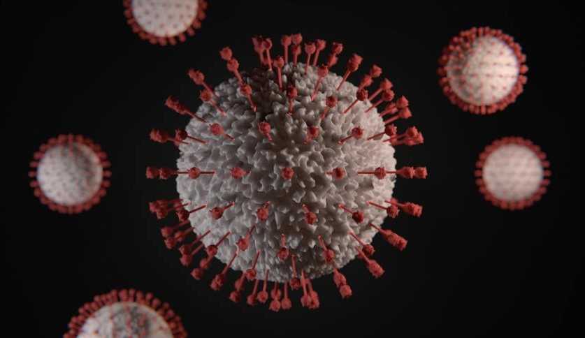 Banco de dados brasileiro permitirá identificar mutações responsáveis por doenças genéticas