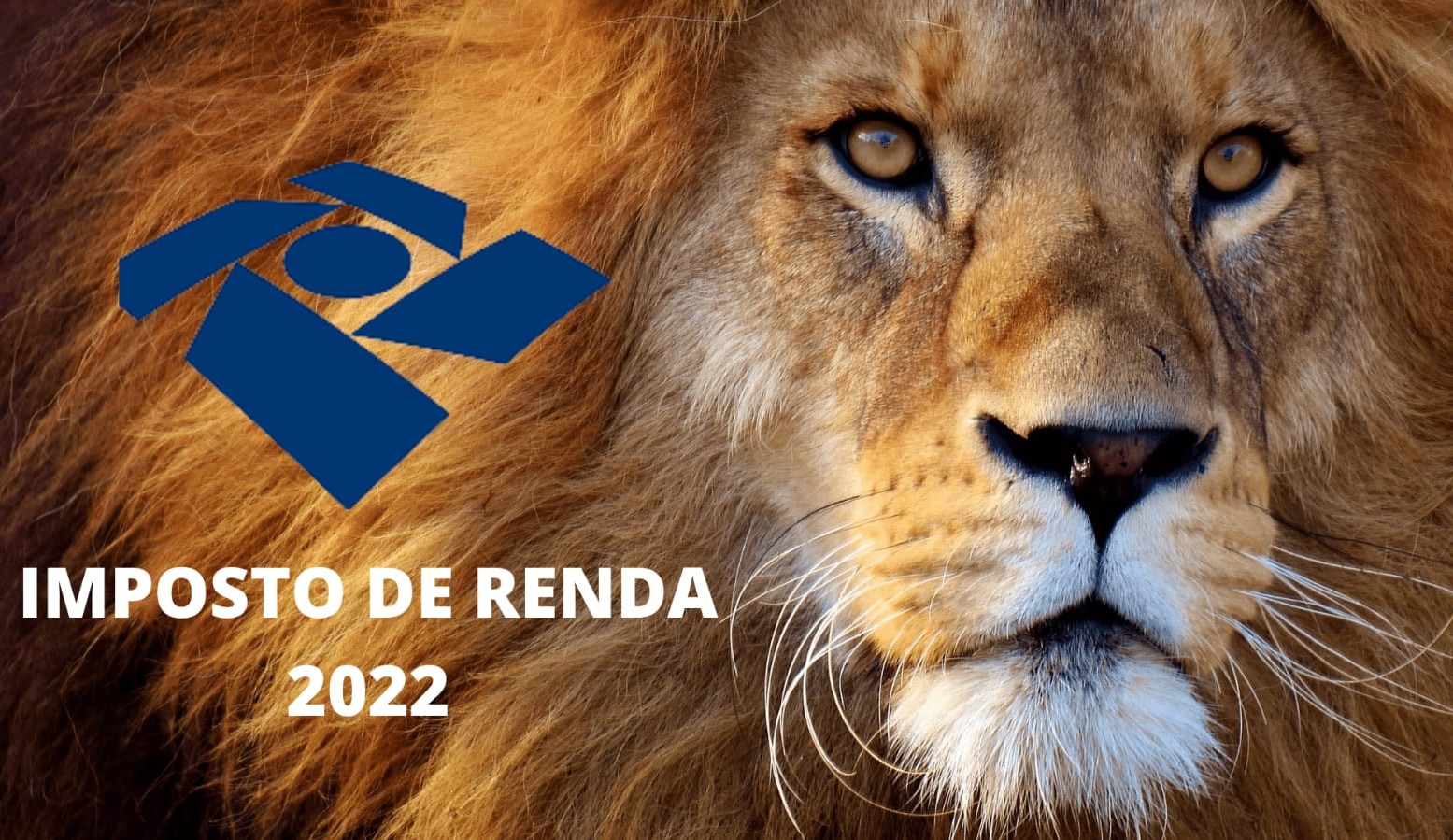 Investidor na Bolsa, fique atento ao prazo de declaração do Imposto de Renda