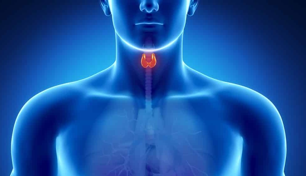 Câncer de laringe: silencioso, mas curável