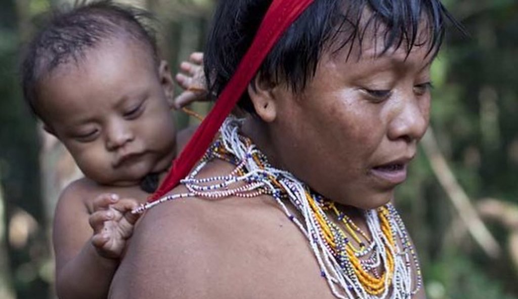 Após relato de abuso sexual de meninas ianomâmi, MPF diz que pediu à União novas ações policiais