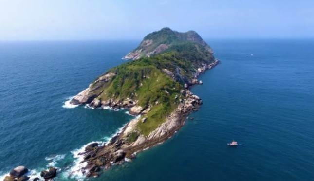 Ilha das Cobras possui mais de 15 mil serpentes, incluindo a Jararaca Ilhoa