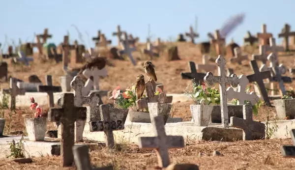 Média móvel de mortes em decorrência da Covid-19 segue em baixa