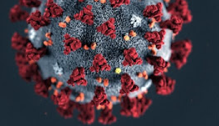 Caso de Corona Vírus com mais de 16 semanas de duração é documentado no Reino Unido