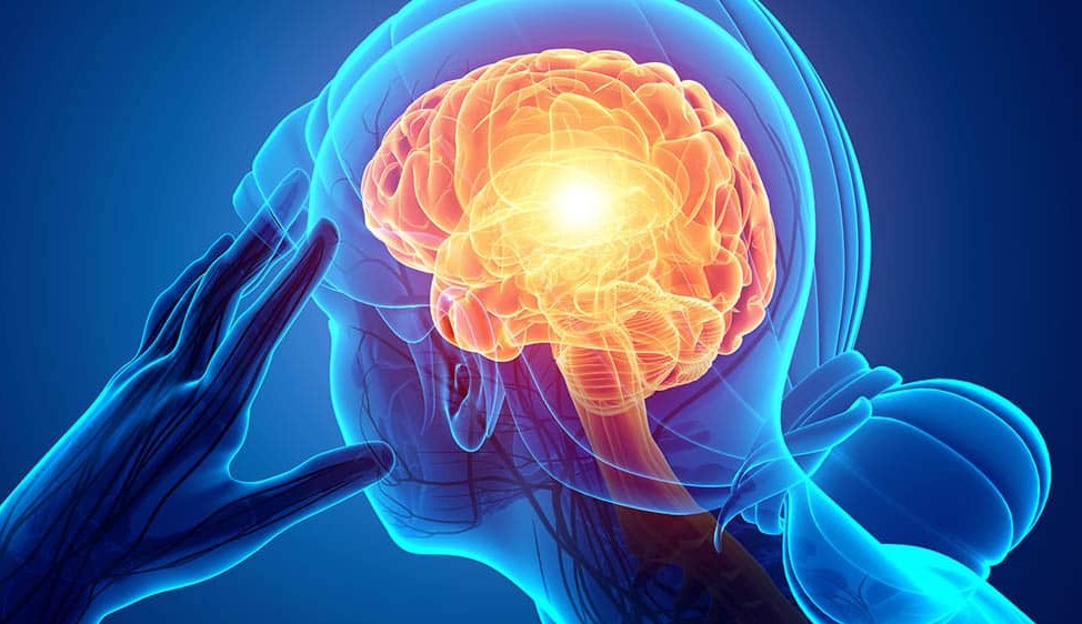 Dia Mundial da Meningite, conheça a doença e a importância da prevenção.