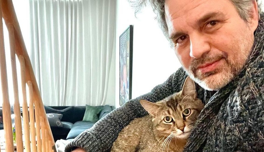 Mark Ruffalo apoia novamente campanha de votação e retirada de títulos de eleitor no Brasil