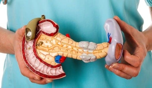 Câncer de pâncreas: saiba os principais sintomas e estágios da doença