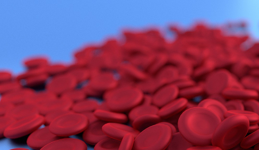 Saiba o que é Talassemia, quais os sintomas e formas de tratamento