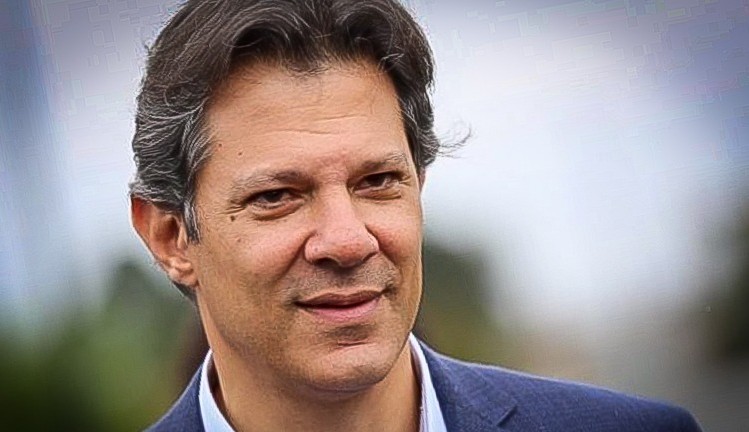 Governo de SP: Haddad lidera disputa eleitoral com 30% das intenções de voto segundo pesquisa Genial/ Quaest