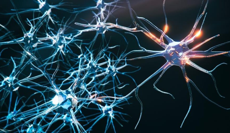 Cetogênica: a dieta que ajuda a amenizar os sintomas da epilepsia