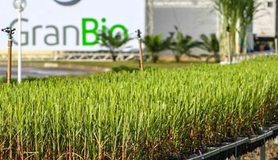 GranBio tem patente validada na Europa