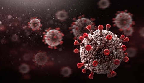 Brasil registra 41 mortes pela Covid-19 em 24 horas, chegando ao total de 667.019 óbitos