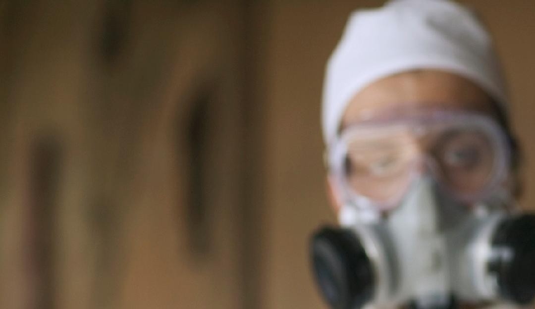 Guiné registra seis surtos de gripe aviária H5N1