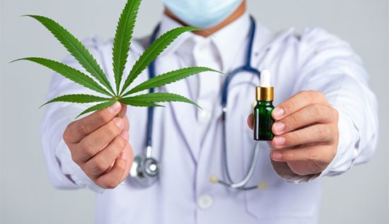 Uso medicinal de maconha: conheça os impactos na indústria da saúde