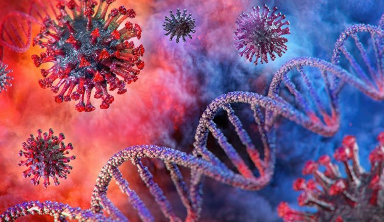 Entenda como funcionam as reproduções e multiplicações do coronavírus