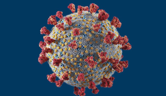 Indicadores de Covid-19 apresentam alta