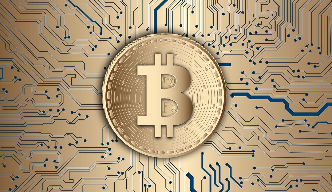 Criptomoedas: Casos de falência, demissões e bloqueios