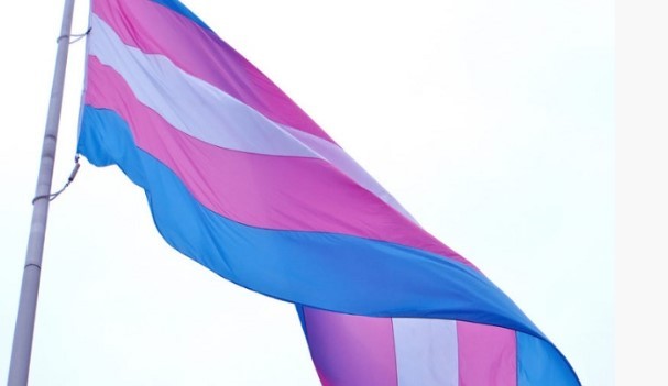 Nome social no título de eleitor cresce 4 vezes em 4 anos; eleitores trans têm menos de 25 anos.