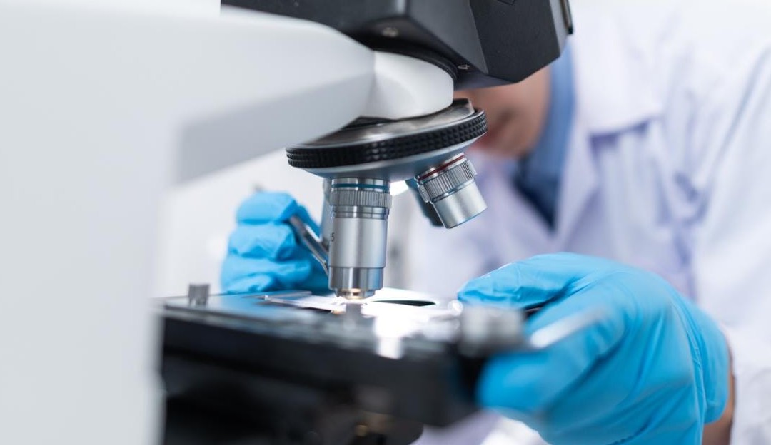 Estudos  indicam que o parto prematuro eleva o risco de uma nova prematuridade