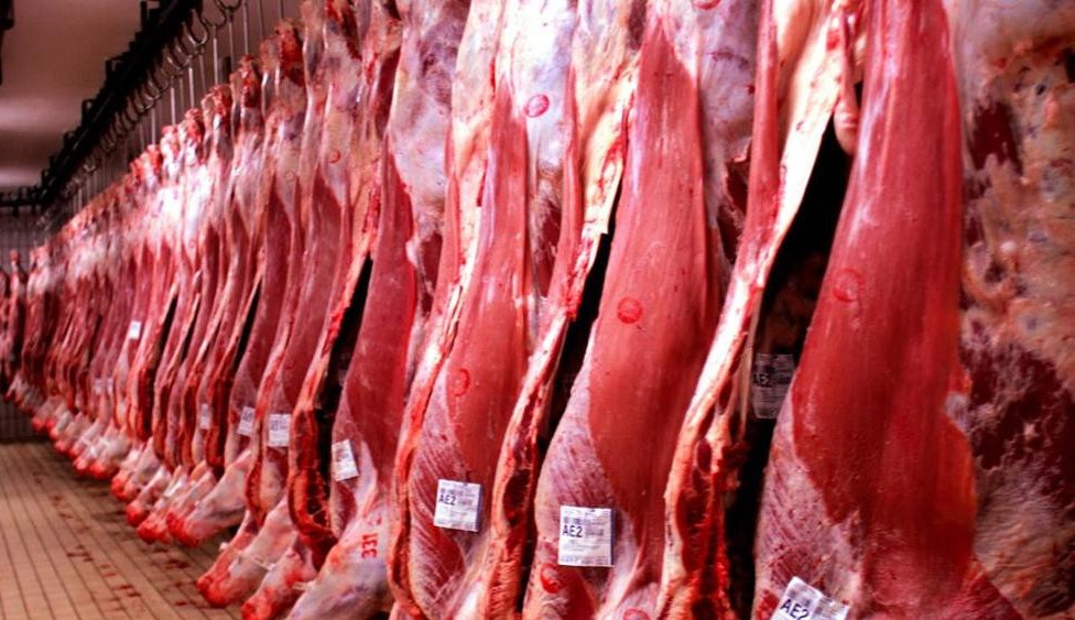 Exportação da carne bovina brasileira sobe mais de 6% em julho