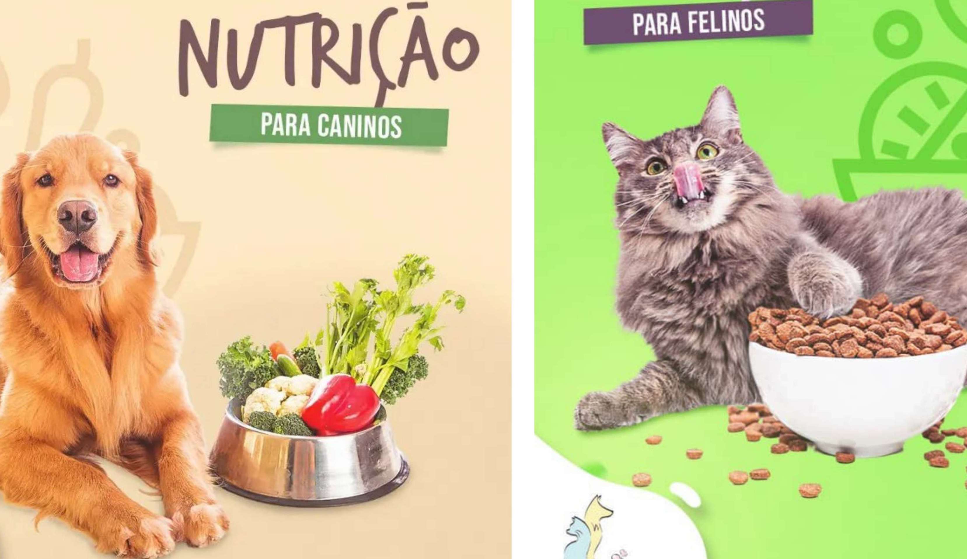 Entenda como deve ser a alimentação dos pets no inverno