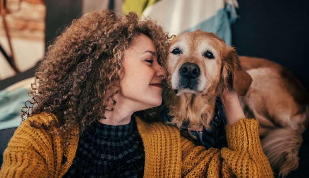 A relação entre os animais o bem-estar humano