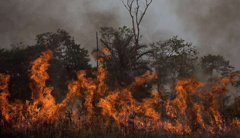 Brasil atinge limite de recursos naturais, diz pesquisadores