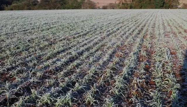 Frente fria derruba temperatura na região Sudeste