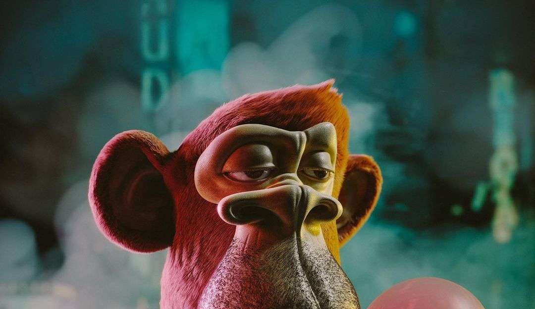 Instagram aposta em NTFs mesmo com a desaceleração do mercado