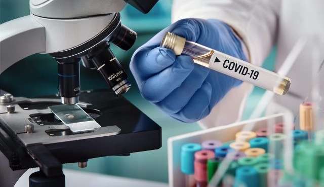 Entenda como a vitamina B12 pode ser eficaz contra os sintomas da COVID-19