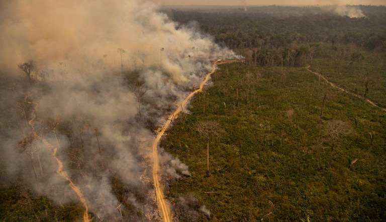 Queimadas na Amazônia batem recorde e agosto registra como pior mês em anos
