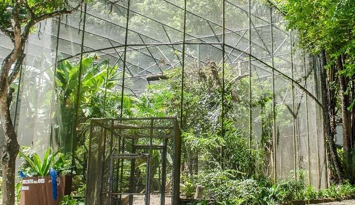 Polícia Civil investiga furto de animais em zoológico na Paraíba