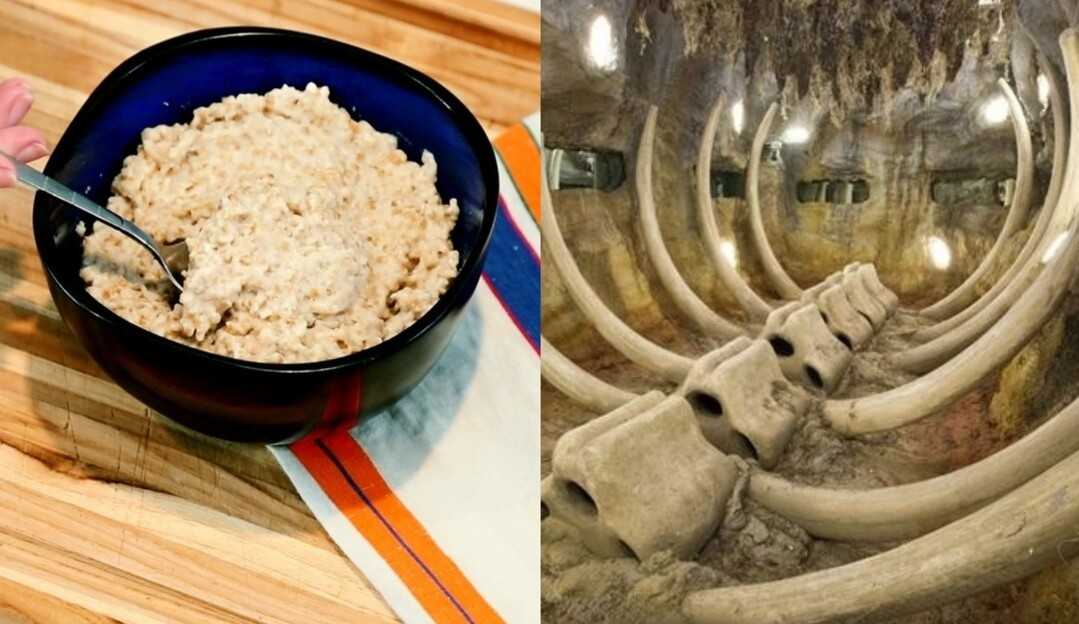 Ração humana e cama de ossos?! Confira a xepa do Big Brother Canadá