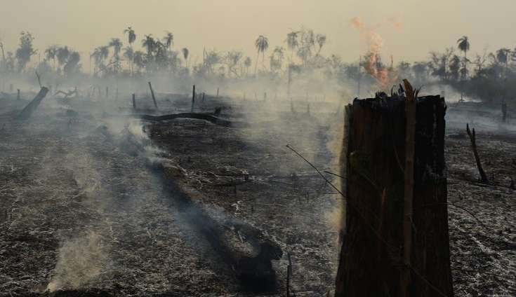 Na Amazônia, acontece um roubo toda semana