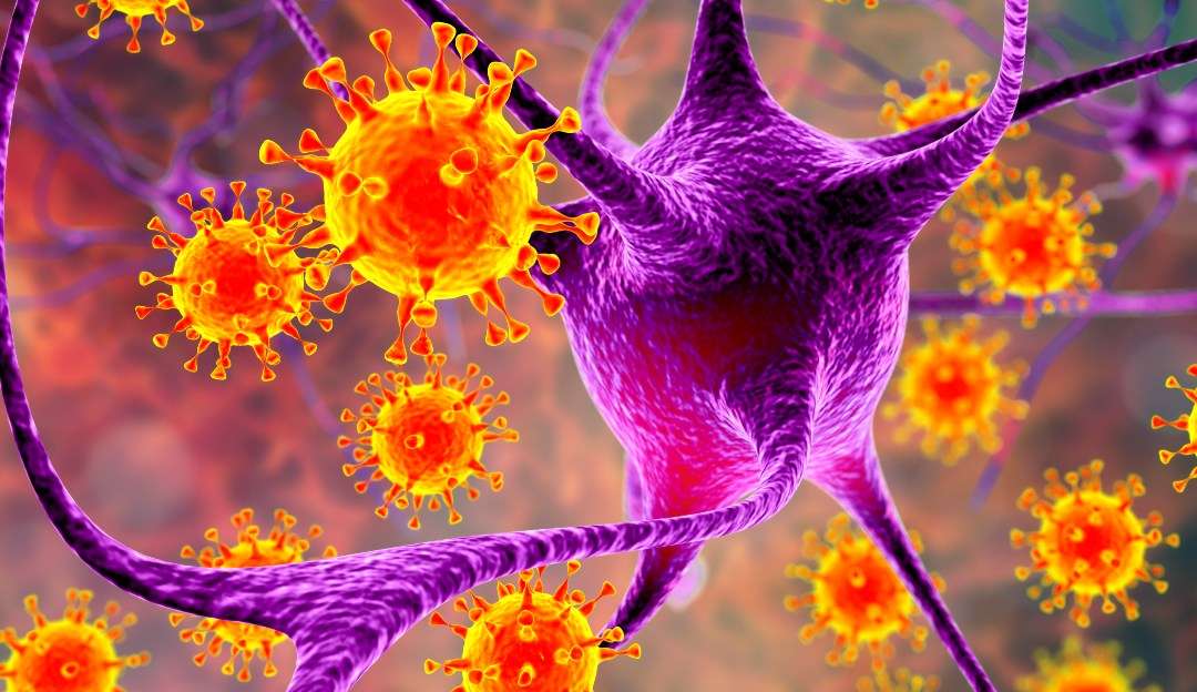 Meningite: conheça as causas, os sintomas e como tratar a doença