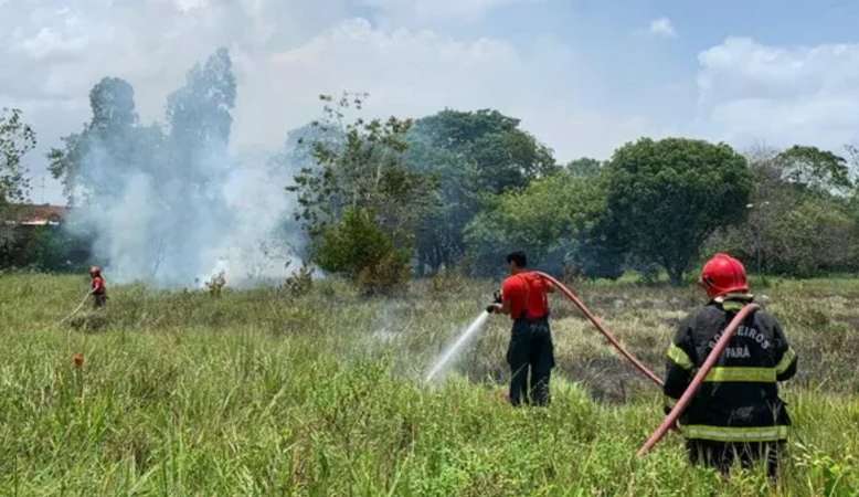 Família provoca incêndio em cemitério após soltar fogos durante enterro