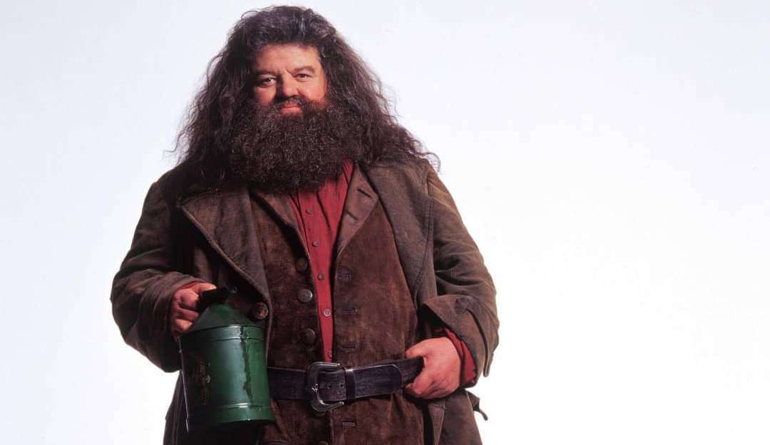 Atores de Harry Potter lamentam a morte do intérprete de “Hagrid”