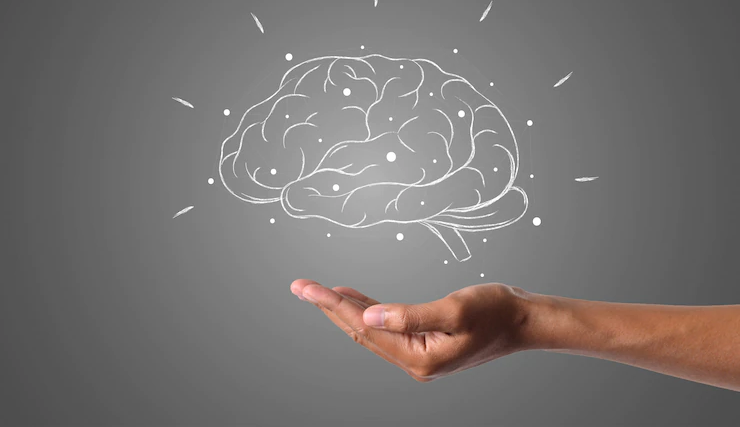 Especialista traz o impacto da vitamina B no nosso cérebro