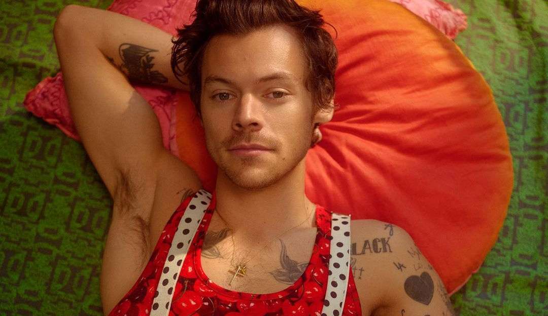 Harry Styles é atingido por garrafa durante show nos Estados Unidos