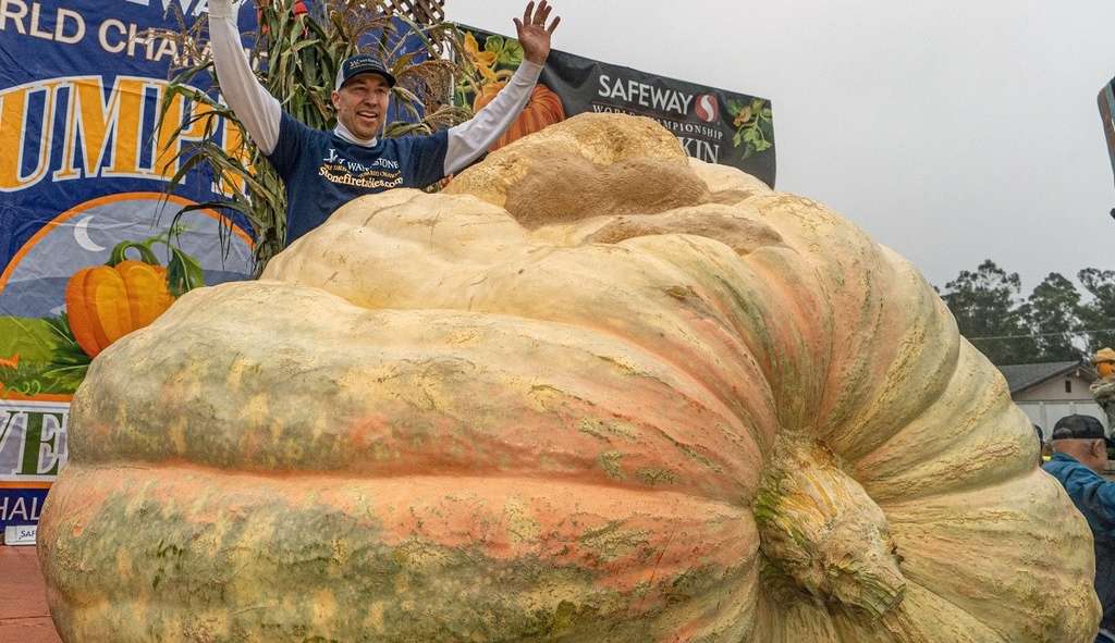 Abóbora americana com 1161 kg ganha destaque nas redes sociais